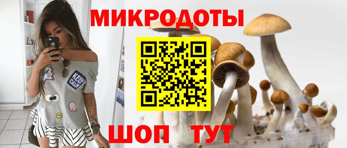 Псилоцибиновые грибы GOLDEN TEACHER Нижнеудинск