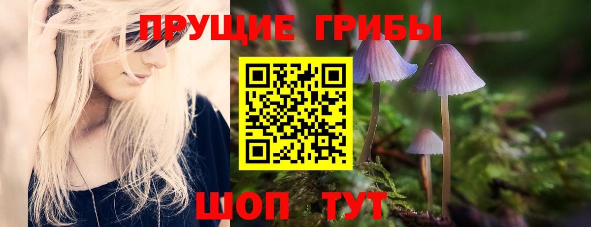 Галлюциногенные грибы Psilocybine cubensis  Псилоцибиновые грибы прущие грибы  Нижнеудинск  Вход с VPN 